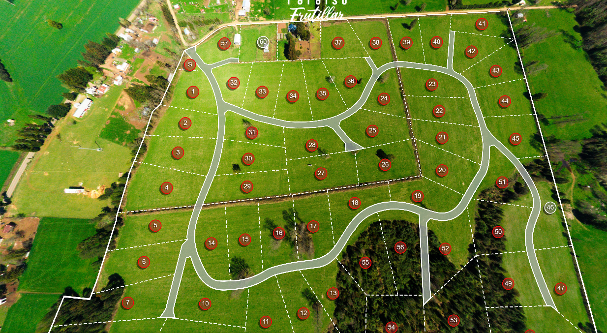 Plano del loteo Paraíso Frutillar — 60 parcelas